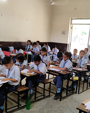 Senior Wing